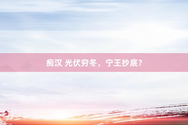 痴汉 光伏穷冬，宁王抄底？
