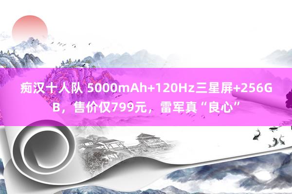 痴汉十人队 5000mAh+120Hz三星屏+256GB，售价仅799元，雷军真“良心”