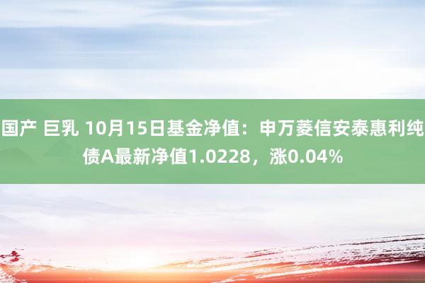 国产 巨乳 10月15日基金净值：申万菱信安泰惠利纯债A最新净值1.0228，涨0.04%