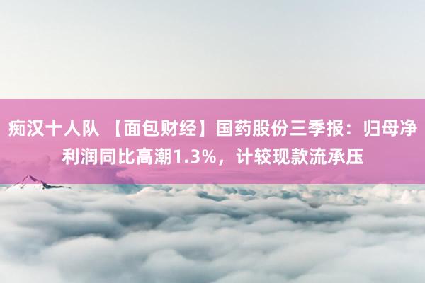 痴汉十人队 【面包财经】国药股份三季报：归母净利润同比高潮1.3%，计较现款流承压