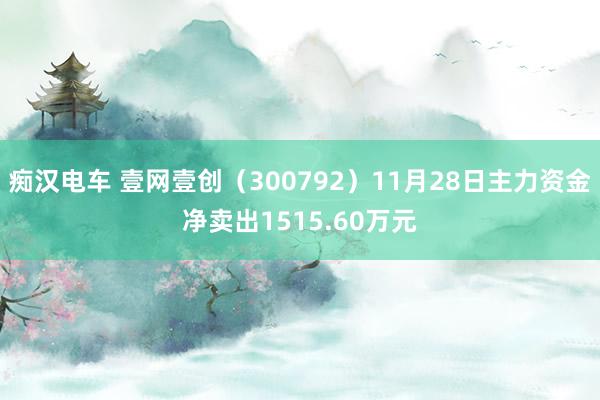 痴汉电车 壹网壹创（300792）11月28日主力资金净卖出1515.60万元