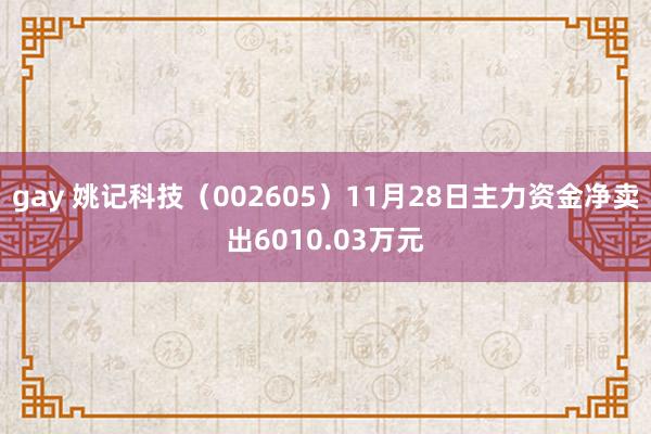 gay 姚记科技（002605）11月28日主力资金净卖出6010.03万元