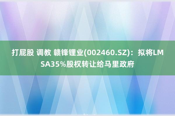 打屁股 调教 赣锋锂业(002460.SZ)：拟将LMSA35%股权转让给马里政府