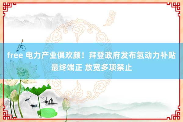 free 电力产业俱欢颜！拜登政府发布氢动力补贴最终端正 放宽多项禁止