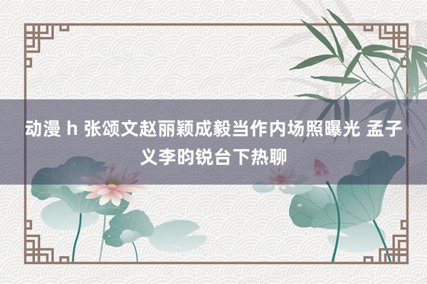 动漫 h 张颂文赵丽颖成毅当作内场照曝光 孟子义李昀锐台下热聊