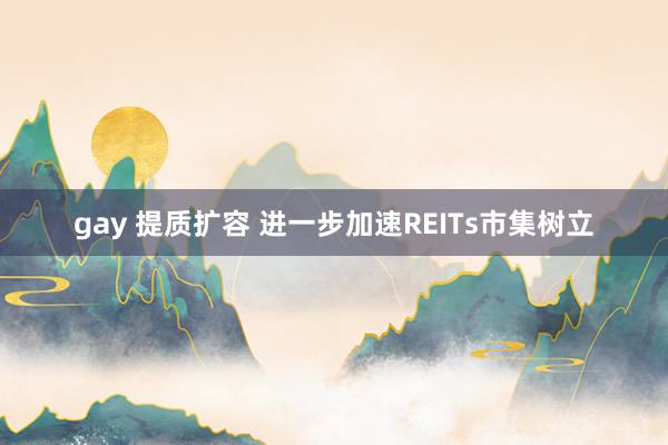 gay 提质扩容 进一步加速REITs市集树立