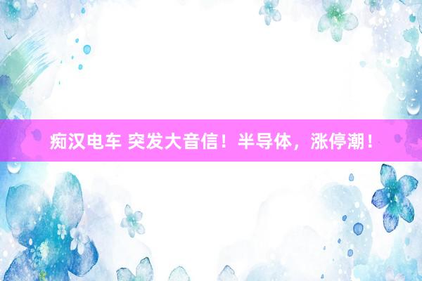 痴汉电车 突发大音信！半导体，涨停潮！