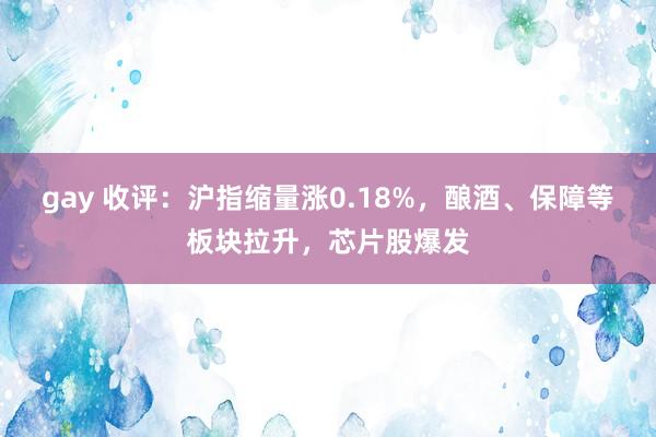 gay 收评：沪指缩量涨0.18%，酿酒、保障等板块拉升，芯片股爆发