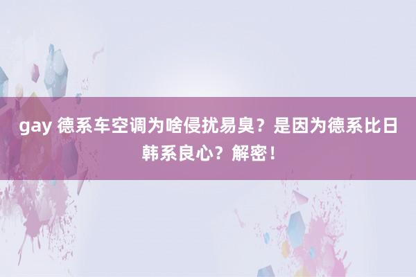gay 德系车空调为啥侵扰易臭？是因为德系比日韩系良心？解密！
