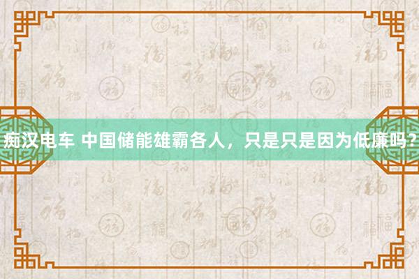 痴汉电车 中国储能雄霸各人，只是只是因为低廉吗？