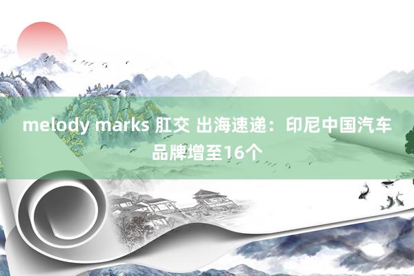 melody marks 肛交 出海速递：印尼中国汽车品牌增至16个