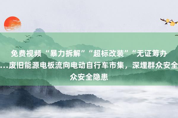 免费视频 “暴力拆解”“超标改装”“无证筹办”……废旧能源电板流向电动自行车市集，深埋群众安全隐患