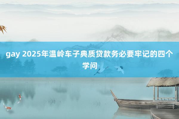 gay 2025年温岭车子典质贷款务必要牢记的四个学问