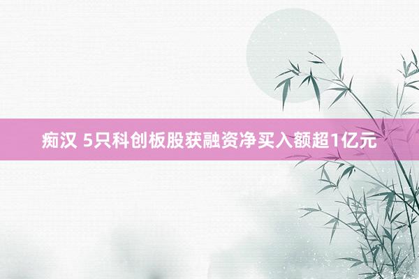 痴汉 5只科创板股获融资净买入额超1亿元
