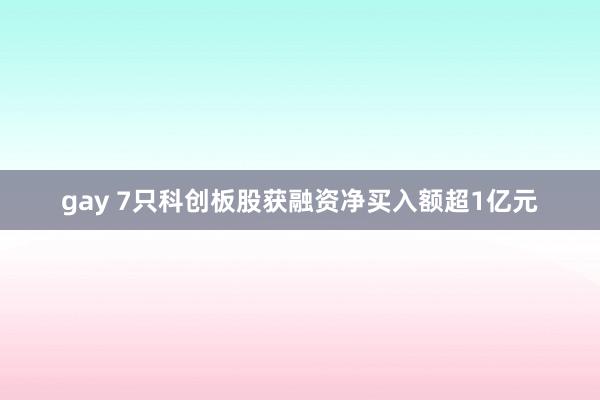 gay 7只科创板股获融资净买入额超1亿元