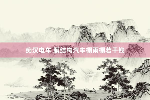 痴汉电车 膜结构汽车棚雨棚若干钱