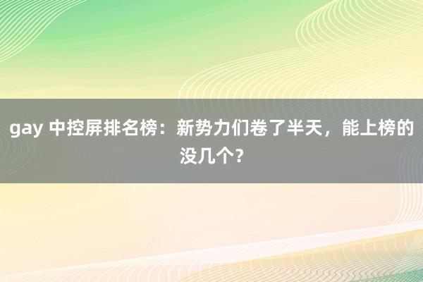gay 中控屏排名榜：新势力们卷了半天，能上榜的没几个？