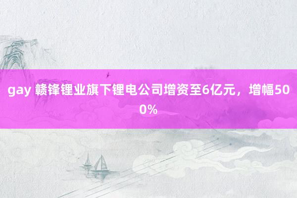 gay 赣锋锂业旗下锂电公司增资至6亿元，增幅500%