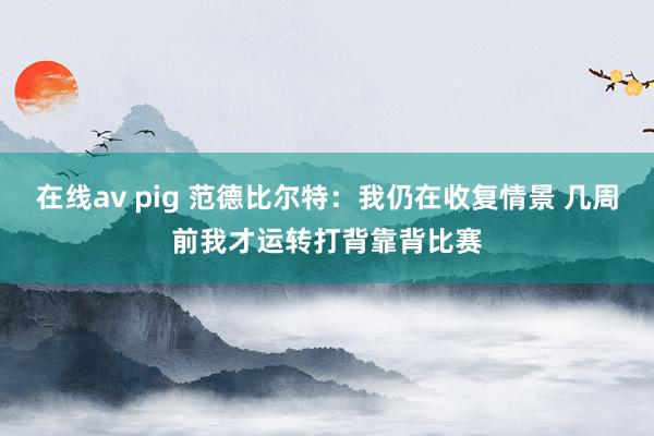 在线av pig 范德比尔特：我仍在收复情景 几周前我才运转打背靠背比赛