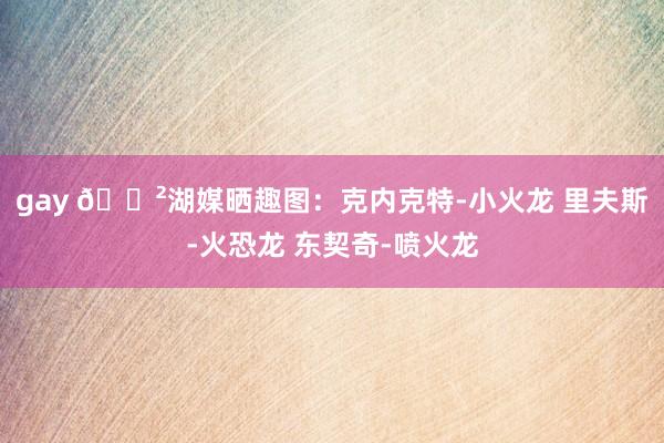 gay 🐲湖媒晒趣图：克内克特-小火龙 里夫斯-火恐龙 东契奇-喷火龙