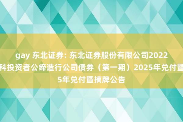 gay 东北证券: 东北证券股份有限公司2022年面向专科投资者公缔造行公司债券（第一期）2025年兑付暨摘牌公告