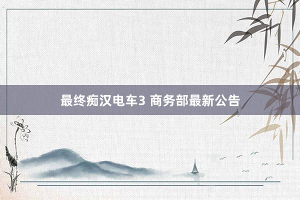 最终痴汉电车3 商务部最新公告