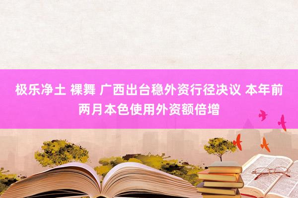 极乐净土 裸舞 广西出台稳外资行径决议 本年前两月本色使用外资额倍增