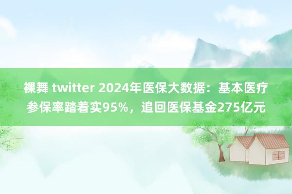 裸舞 twitter 2024年医保大数据：基本医疗参保率踏着实95%，追回医保基金275亿元