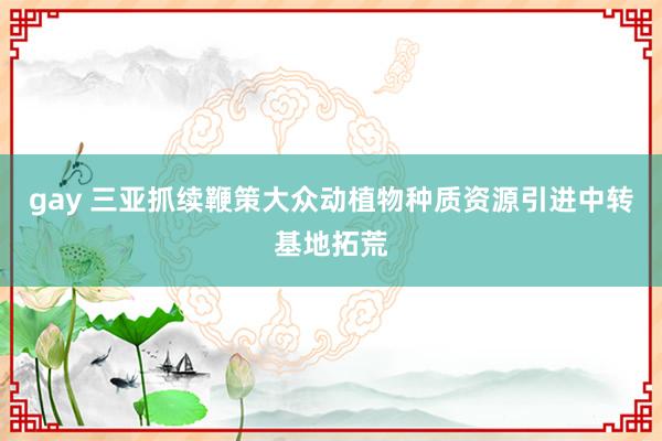 gay 三亚抓续鞭策大众动植物种质资源引进中转基地拓荒