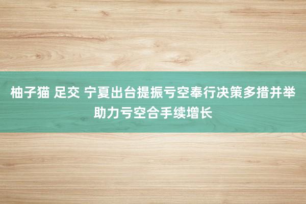 柚子猫 足交 宁夏出台提振亏空奉行决策多措并举助力亏空合手续增长