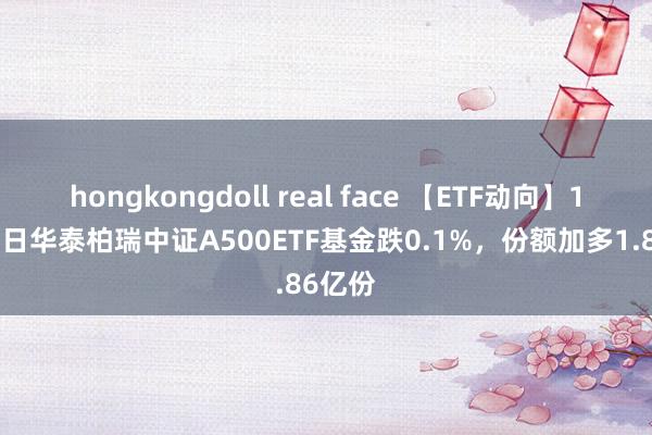 hongkongdoll real face 【ETF动向】12月25日华泰柏瑞中证A500ETF基金跌0.1%，份额加多1.86亿份