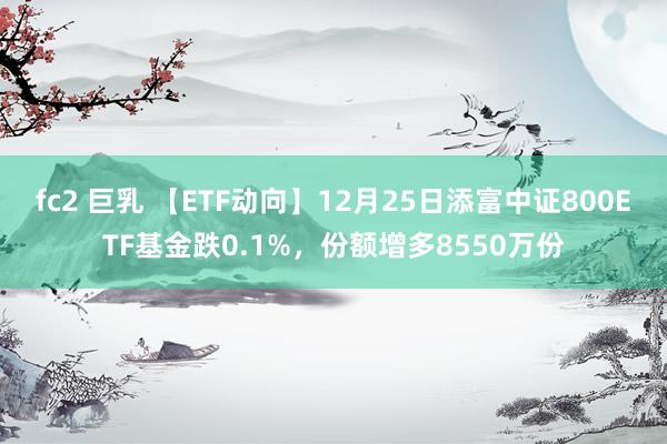 fc2 巨乳 【ETF动向】12月25日添富中证800ETF基金跌0.1%，份额增多8550万份