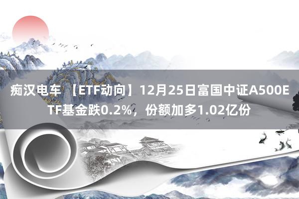 痴汉电车 【ETF动向】12月25日富国中证A500ETF基金跌0.2%，份额加多1.02亿份