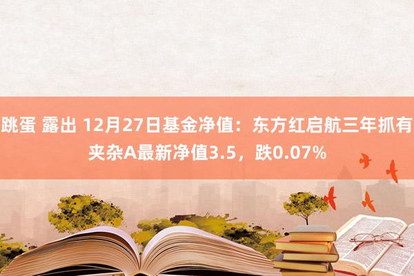 跳蛋 露出 12月27日基金净值：东方红启航三年抓有夹杂A最新净值3.5，跌0.07%