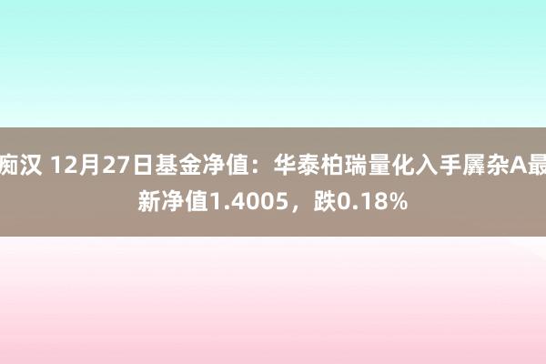 痴汉 12月27日基金净值：华泰柏瑞量化入手羼杂A最新净值1.4005，跌0.18%