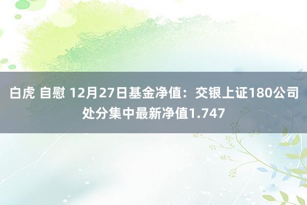 白虎 自慰 12月27日基金净值：交银上证180公司处分集中最新净值1.747