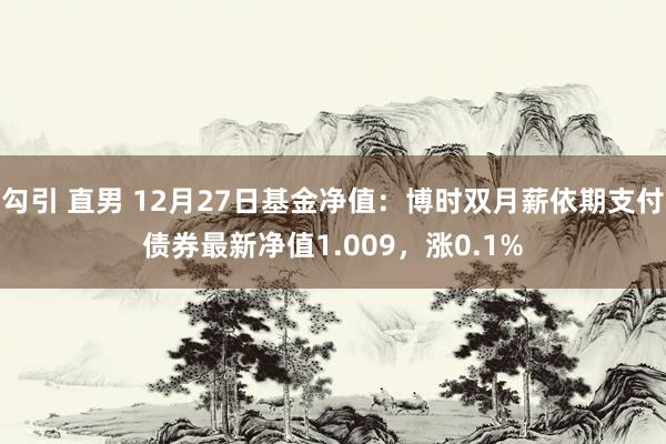 勾引 直男 12月27日基金净值：博时双月薪依期支付债券最新净值1.009，涨0.1%