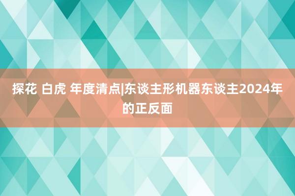 探花 白虎 年度清点|东谈主形机器东谈主2024年的正反面