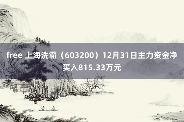free 上海洗霸（603200）12月31日主力资金净买入815.33万元