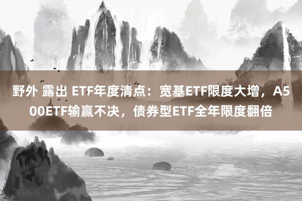 野外 露出 ETF年度清点：宽基ETF限度大增，A500ETF输赢不决，债券型ETF全年限度翻倍