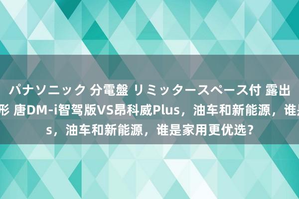 パナソニック 分電盤 リミッタースペース付 露出・半埋込両用形 唐DM-i智驾版VS昂科威Plus，油车和新能源，谁是家用更优选？