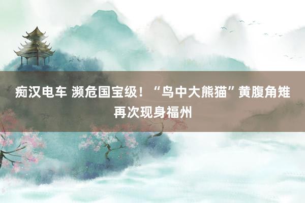 痴汉电车 濒危国宝级！“鸟中大熊猫”黄腹角雉再次现身福州