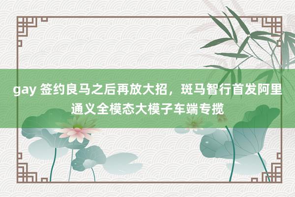 gay 签约良马之后再放大招，斑马智行首发阿里通义全模态大模子车端专揽