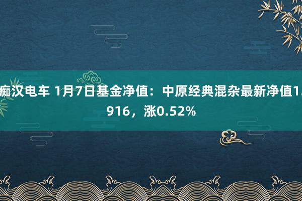 痴汉电车 1月7日基金净值：中原经典混杂最新净值1.916，涨0.52%