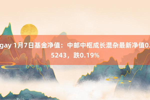 gay 1月7日基金净值：中邮中枢成长混杂最新净值0.5243，跌0.19%