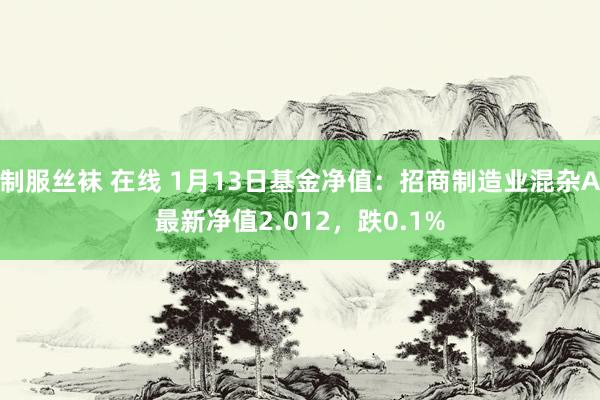 制服丝袜 在线 1月13日基金净值：招商制造业混杂A最新净值2.012，跌0.1%