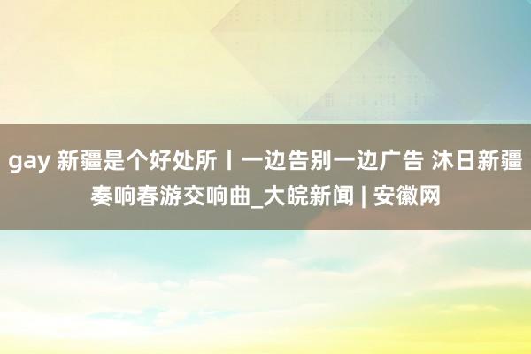 gay 新疆是个好处所丨一边告别一边广告 沐日新疆奏响春游交响曲_大皖新闻 | 安徽网