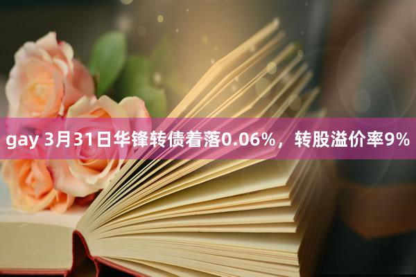 gay 3月31日华锋转债着落0.06%，转股溢价率9%