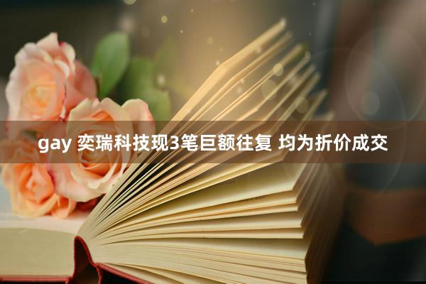 gay 奕瑞科技现3笔巨额往复 均为折价成交