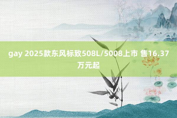 gay 2025款东风标致508L/5008上市 售16.37万元起